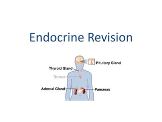 Endocrine Revision
 