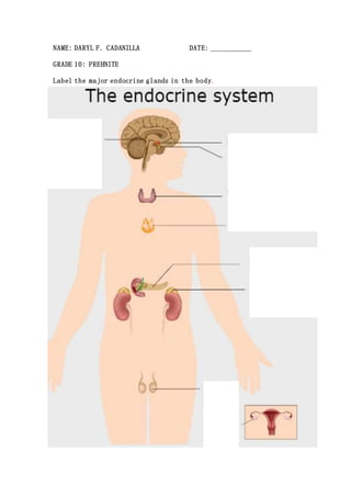 NAME: DARYL F. CADANILLA DATE: ___________
GRADE 10: PREHNITE
Label the major endocrine glands in the body.
 