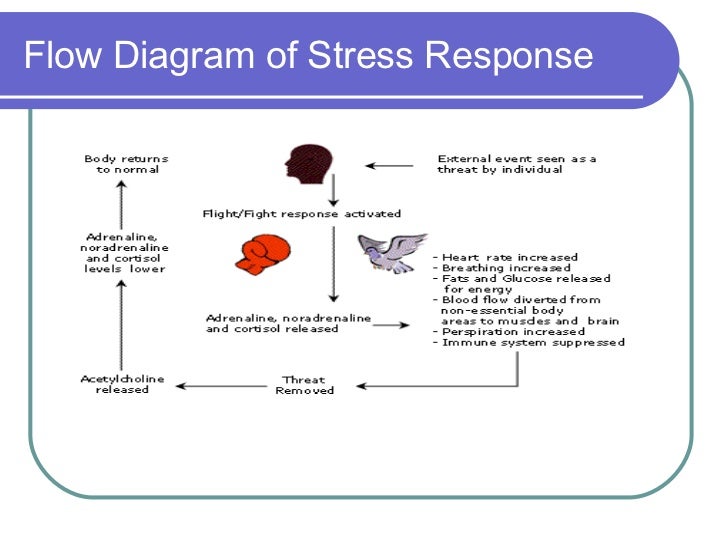 Stress Response Flow Chart
