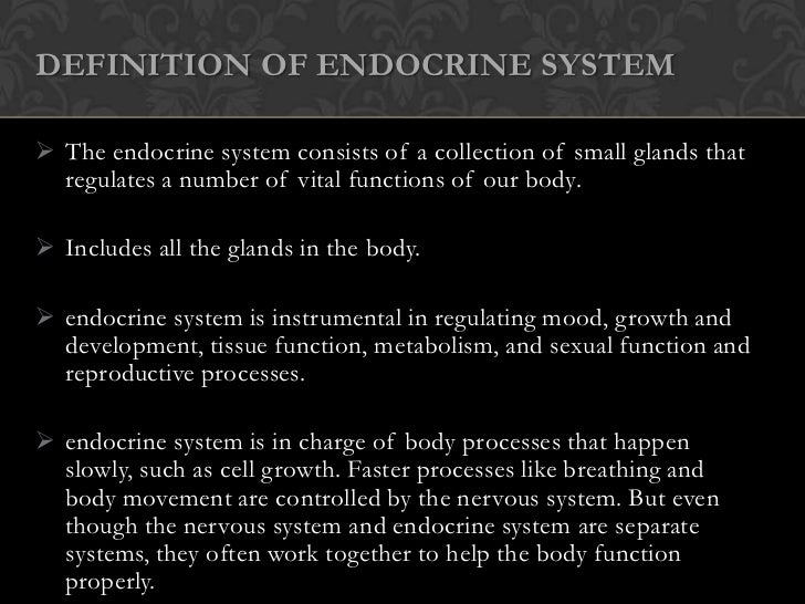 Endocrine System