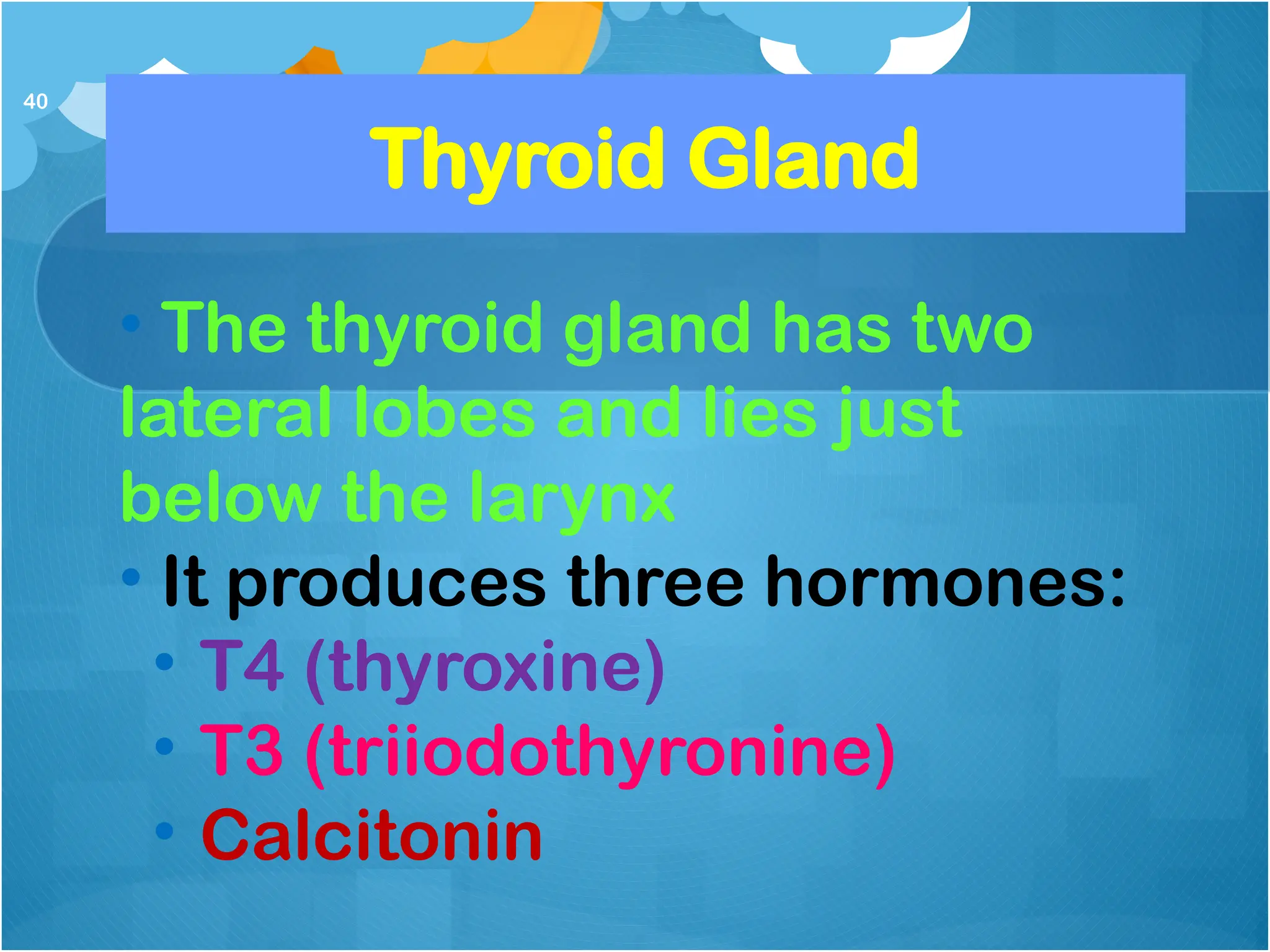 ENDOCRINE-SYSTEM all about the endocrine | PPT