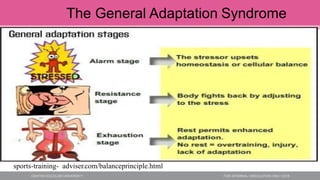 The General Adaptation Syndrome
sports-training- adviser.com/balanceprinciple.html
 