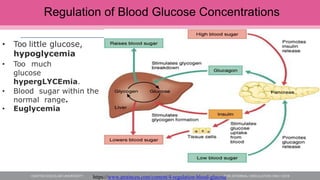 Regulation of Blood Glucose Concentrations
https://www.atrainceu.com/content/4-regulation-blood-glucose
• Too little glucose,
hypoglycemia
• Too much
glucose
hypergLYCEmia.
• Blood sugar within the
normal range.
• Euglycemia
 