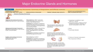 Major Endocrine Glands and Hormones
 
