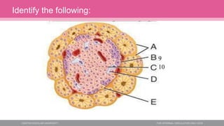 Identify the following:
9
10
 