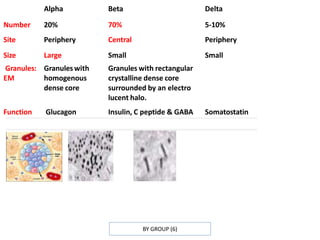 BY GROUP (6)
Alpha Beta Delta
Number 20% 70% 5-10%
Site Periphery Central Periphery
Size Large Small Small
Granules:
EM
Granuleswith
homogenous
dense core
Granules with rectangular
crystalline dense core
surrounded by an electro
lucent halo.
Function Glucagon Insulin, C peptide & GABA Somatostatin
 