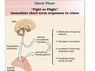 Endocrine system-outline-of-major-players1556