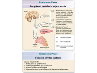 Endocrine system-outline-of-major-players1556