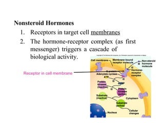 Nonsteroid Hormones
1. Receptors in target cell membranes
2. The  hormone-receptor  complex  (as  first 
messenger)  triggers  a  cascade  of 
biological activity.
Receptor in cell membrane
 