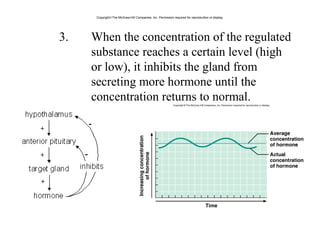 3. When the concentration of the regulated
substance reaches a certain level (high
or low), it inhibits the gland from
secreting more hormone until the
concentration returns to normal.
Copyright©The McGraw-Hill Companies, Inc. Permission required for reproduction or display.
 