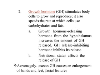 2. Growth hormone (GH) stimulates body
cells to grow and reproduce; it also
speeds the rate at which cells use
carbohydrates and fats.
a. Growth hormone-releasing
hormone from the hypothalamus
increases the amount of GH
released, GH release-inhibiting
hormone inhibits its release.
b. Nutritional status affects the
release of GH
Acromegaly- excess GH causes an enlargement
of hands and feet, facial features
 