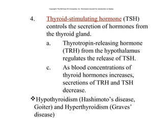4. Thyroid-stimulating hormone (TSH)
controls the secretion of hormones from
the thyroid gland.
a. Thyrotropin-releasing hormone
(TRH) from the hypothalamus
regulates the release of TSH.
c. As blood concentrations of
thyroid hormones increases,
secretions of TRH and TSH
decrease.
Hypothyroidism (Hashimoto’s disease,
Goiter) and Hyperthyroidism (Graves’
disease)
Copyright©The McGraw-Hill Companies, Inc. Permission required for reproduction or display.
 