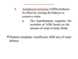 3. Antidiuretic hormone (ADH) produces
its effect by causing the kidneys to
conserve water.
a. The hypothalamus regulates the
secretion of ADH based on the
amount of water in body fluids.
Diabetes Insipidus- insufficient ADH loss of water
balance
Copyright©The McGraw-Hill Companies, Inc. Permission required for reproduction or display.
 