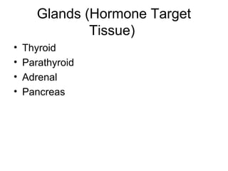 Glands (Hormone Target
Tissue)
• Thyroid
• Parathyroid
• Adrenal
• Pancreas
 