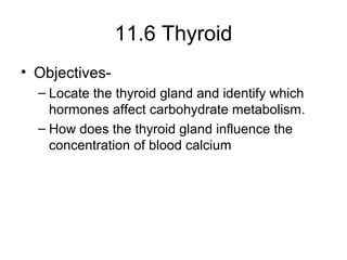 11.6 Thyroid
• Objectives-
– Locate the thyroid gland and identify which
hormones affect carbohydrate metabolism.
– How does the thyroid gland influence the
concentration of blood calcium
 