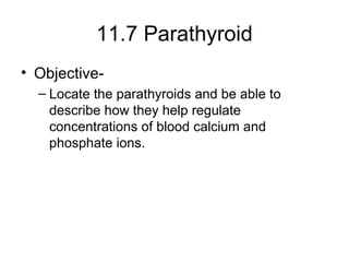 11.7 Parathyroid
• Objective-
– Locate the parathyroids and be able to
describe how they help regulate
concentrations of blood calcium and
phosphate ions.
 