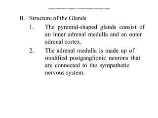 B. Structure of the Glands
1. The pyramid-shaped glands consist of
an inner adrenal medulla and an outer
adrenal cortex.
2. The adrenal medulla is made up of
modified postganglionic neurons that
are connected to the sympathetic
nervous system.
Copyright©The McGraw-Hill Companies, Inc. Permission required for reproduction or display.
 