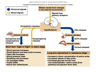 Copyright©The McGraw-Hill Companies, Inc. Permission required for reproduction or display.
 