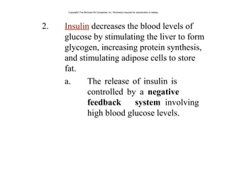 2. Insulin decreases the blood levels of
glucose by stimulating the liver to form
glycogen, increasing protein synthesis,
and stimulating adipose cells to store
fat.
a. The release of insulin is
controlled by a negative
feedback system involving
high blood glucose levels.
Copyright©The McGraw-Hill Companies, Inc. Permission required for reproduction or display.
 