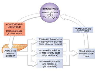 Copyright©The McGraw-Hill Companies, Inc. Permission required for reproduction or display.
 