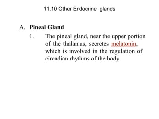 A. Pineal Gland
1. The pineal gland, near the upper portion
of the thalamus, secretes melatonin,
which is involved in the regulation of
circadian rhythms of the body.
11.10 Other Endocrine glands
 