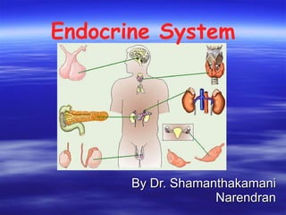 Endocrine System By Dr. Shamanthakamani Narendran 