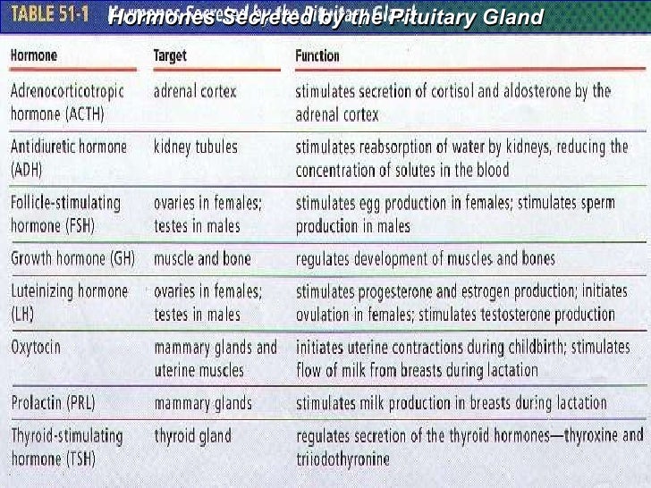 Hormone Secretion Chart