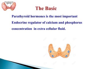 Parathyroid hormones is the most important
Endocrine regulator of calcium and phosphorus
concentration in extra cellular fluid.
 