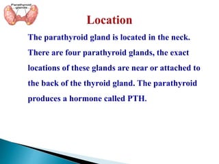 The parathyroid gland is located in the neck.
There are four parathyroid glands, the exact
locations of these glands are near or attached to
the back of the thyroid gland. The parathyroid
produces a hormone called PTH.
 