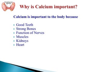 se
Calcium is important to the body because
 Good Teeth
 Strong Bones
 Function of Nerves
 Muscles
 Kidneys
 Heart
 