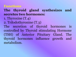 Functions
The thyroid gland synthesizes and
secretes two hormones:
1. Thyroxine (T.4)
2. Trilodothyronine (T.3)
The secretion of thyroid hormones is
controlled by Thyroid stimulating Hormone
(TSH) of Anterior Pituitary Gland. The
thyroid hormones influence growth and
metabolism.
 