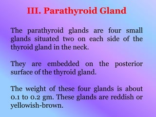 III. Parathyroid Gland
The parathyroid glands are four small
glands situated two on each side of the
thyroid gland in the neck.
They are embedded on the posterior
surface of the thyroid gland.
The weight of these four glands is about
0.1 to 0.2 gm. These glands are reddish or
yellowish-brown.
 