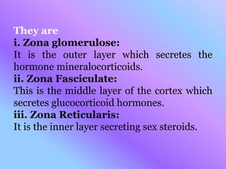 They are
i. Zona glomerulose:
It is the outer layer which secretes the
hormone mineralocorticoids.
ii. Zona Fasciculate:
This is the middle layer of the cortex which
secretes glucocorticoid hormones.
iii. Zona Reticularis:
It is the inner layer secreting sex steroids.
 