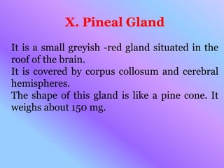 X. Pineal Gland
It is a small greyish -red gland situated in the
roof of the brain.
It is covered by corpus collosum and cerebral
hemispheres.
The shape of this gland is like a pine cone. It
weighs about 150 mg.
 