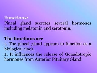 Functions:
Pineal gland secretes several hormones
including melatonin and serotonin.
The functions are
1. The pineal gland appears to function as a
biological clock.
2. It influences the release of Gonadotropic
hormones from Anterior Pituitary Gland.
 