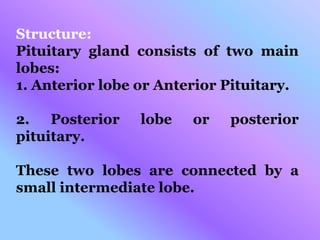 Structure:
Pituitary gland consists of two main
lobes:
1. Anterior lobe or Anterior Pituitary.
2. Posterior lobe or posterior
pituitary.
These two lobes are connected by a
small intermediate lobe.
 