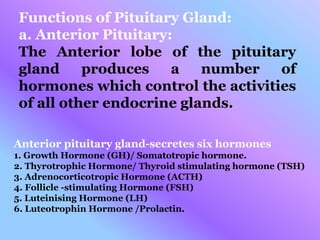 Functions of Pituitary Gland:
a. Anterior Pituitary:
The Anterior lobe of the pituitary
gland produces a number of
hormones which control the activities
of all other endocrine glands.
Anterior pituitary gland-secretes six hormones
1. Growth Hormone (GH)/ Somatotropic hormone.
2. Thyrotrophic Hormone/ Thyroid stimulating hormone (TSH)
3. Adrenocorticotropic Hormone (ACTH)
4. Follicle -stimulating Hormone (FSH)
5. Luteinising Hormone (LH)
6. Luteotrophin Hormone /Prolactin.
 