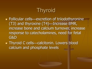 Thyroid
 Follicular cells—excretion of triiodothyronine
(T3) and thyroxine (T4)—Increase BMR,
increase bone and calcium turnover, increase
response to catecholamines, need for fetal
G&D
 Thyroid C cells—calcitonin. Lowers blood
calcium and phosphate levels
 