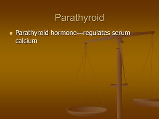 Parathyroid
 Parathyroid hormone—regulates serum
calcium
 