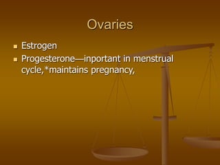Ovaries
 Estrogen
 Progesterone—inportant in menstrual
cycle,*maintains pregnancy,
 