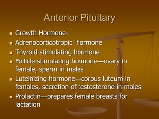 Anterior Pituitary
 Growth Hormone--
 Adrenocorticotropic hormone
 Thyroid stimulating hormone
 Follicle stimulating hormone—ovary in
female, sperm in males
 Luteinizing hormone—corpus luteum in
females, secretion of testosterone in males
 Prolactin—prepares female breasts for
lactation
 