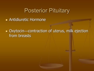 Posterior Pituitary
 Antidiuretic Hormone
 Oxytocin—contraction of uterus, milk ejection
from breasts
 