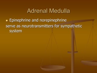 Adrenal Medulla
 Epinephrine and norepinephrine
serve as neurotransmitters for sympathetic
system
 