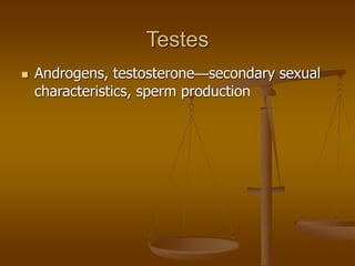 Testes
 Androgens, testosterone—secondary sexual
characteristics, sperm production
 