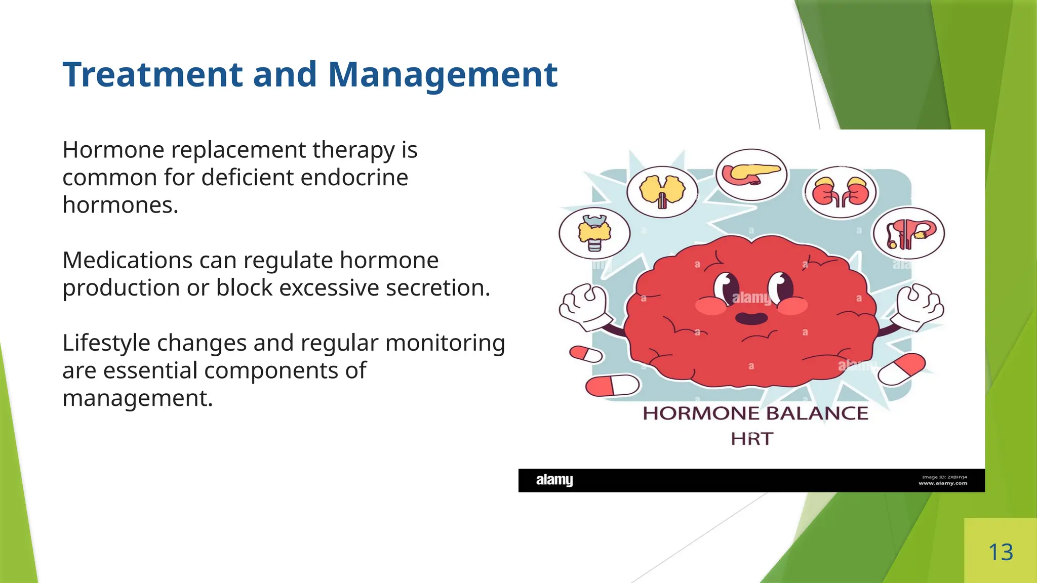 13
Treatment and Management
Hormone replacement therapy is
common for deficient endocrine
hormones.
Medications can regulate hormone
production or block excessive secretion.
Lifestyle changes and regular monitoring
are essential components of
management.
 