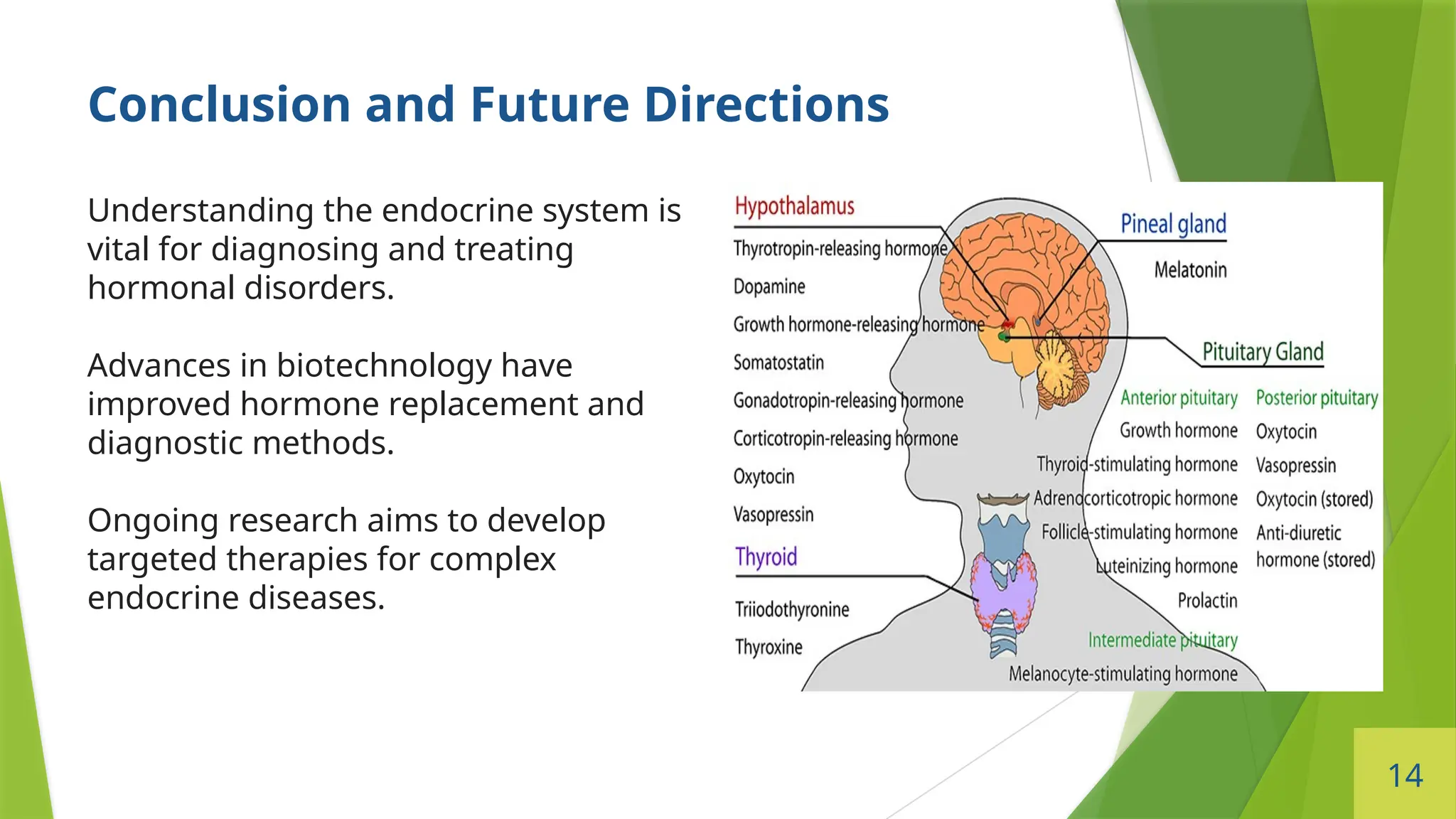 14
Conclusion and Future Directions
Understanding the endocrine system is
vital for diagnosing and treating
hormonal disorders.
Advances in biotechnology have
improved hormone replacement and
diagnostic methods.
Ongoing research aims to develop
targeted therapies for complex
endocrine diseases.
 