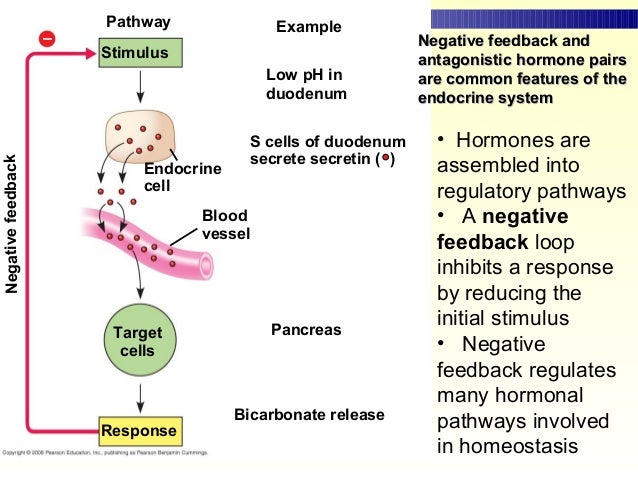 Image result for pathogenesis of endocrine disorders