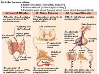 Control of hormone releaseControl of hormone release
1. Negative feedback ["stimulatory-inhibitory"]
2. Positive feedback ["stimulatory-stimulatory"]
3. Endocrine gland stimuli: humoral stimuli, neural stimuli, hormonal stimuli
 
