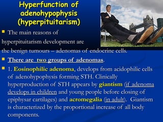 Hyperfunction ofHyperfunction of
adenohypophysisadenohypophysis
(hyperpituitarism)(hyperpituitarism)
 The main reasons ofThe main reasons of
hyperpituitarism development arehyperpituitarism development are
the benign tumours – adenomas of endocrine cells.the benign tumours – adenomas of endocrine cells.
 There areThere are   twotwo groups of adenomasgroups of adenomas..
 1.1. Eosinophilic adenomaEosinophilic adenoma, develops from acidophilic cells, develops from acidophilic cells
of adenohypophysis forming STH. Clinicallyof adenohypophysis forming STH. Clinically
hyperproduction of STH appears byhyperproduction of STH appears by giantismgiantism ((if adenomaif adenoma
develops in childrendevelops in children and young people before closing ofand young people before closing of
epiphysar cartilages) andepiphysar cartilages) and acromegaliaacromegalia ((in adultin adult).  Giantism).  Giantism
is characterized by the proportional increase of all bodyis characterized by the proportional increase of all body
components.components.
 