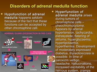 Disorders of adrenal medulla functionDisorders of adrenal medulla function
 Hyperfunction ofHyperfunction of
adrenal medullaadrenal medulla  arises arises
during tumors ofduring tumors of
chromaphine cells –chromaphine cells –
pheochromocytome.pheochromocytome.
Appears by arterialAppears by arterial
hypertension, tachycardia,hypertension, tachycardia,
extrasystole, flatering ofextrasystole, flatering of
atriums, hyperglycaemia,atriums, hyperglycaemia,
hyperlipidaemia,hyperlipidaemia,
hyperthermia. Developmenthyperthermia. Development
of moderately expressedof moderately expressed
diabetus, thyreotoxicosis isdiabetus, thyreotoxicosis is
possible. In time ofpossible. In time of
paroxizm vertigo,paroxizm vertigo,
headache, hallucinations,headache, hallucinations,
increased excitability of theincreased excitability of the
nervous system, crampsnervous system, cramps
 Hypofunction of adrenalHypofunction of adrenal
medullamedulla happens seldom happens seldom
because of the fact that thesebecause of the fact that these
functions can be accepted byfunctions can be accepted by
other chromaphine cell.other chromaphine cell.
 